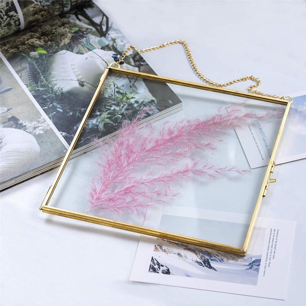 Maverics Antique Brass Glass Hanging Photo Frames Set - Wall Décor for Home & Office, Wall Hanging Accessories, Vintage Style Decoration (8x8)