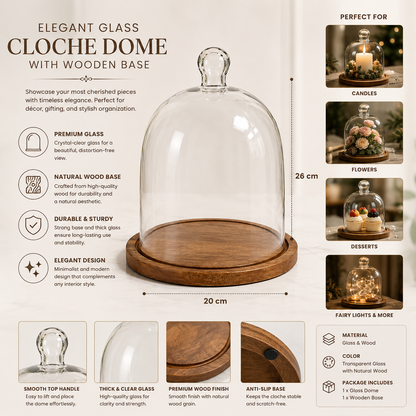 Decorative Glass Cloche Dome with Wooden Base for Home Decor & Display