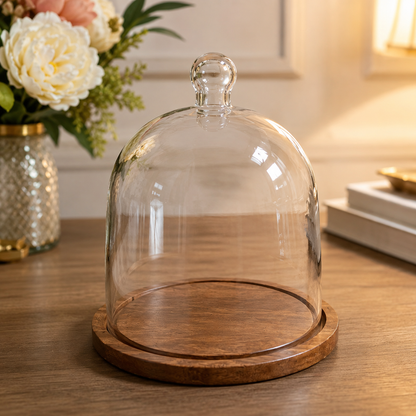 Decorative Glass Cloche Dome with Wooden Base for Home Decor & Display