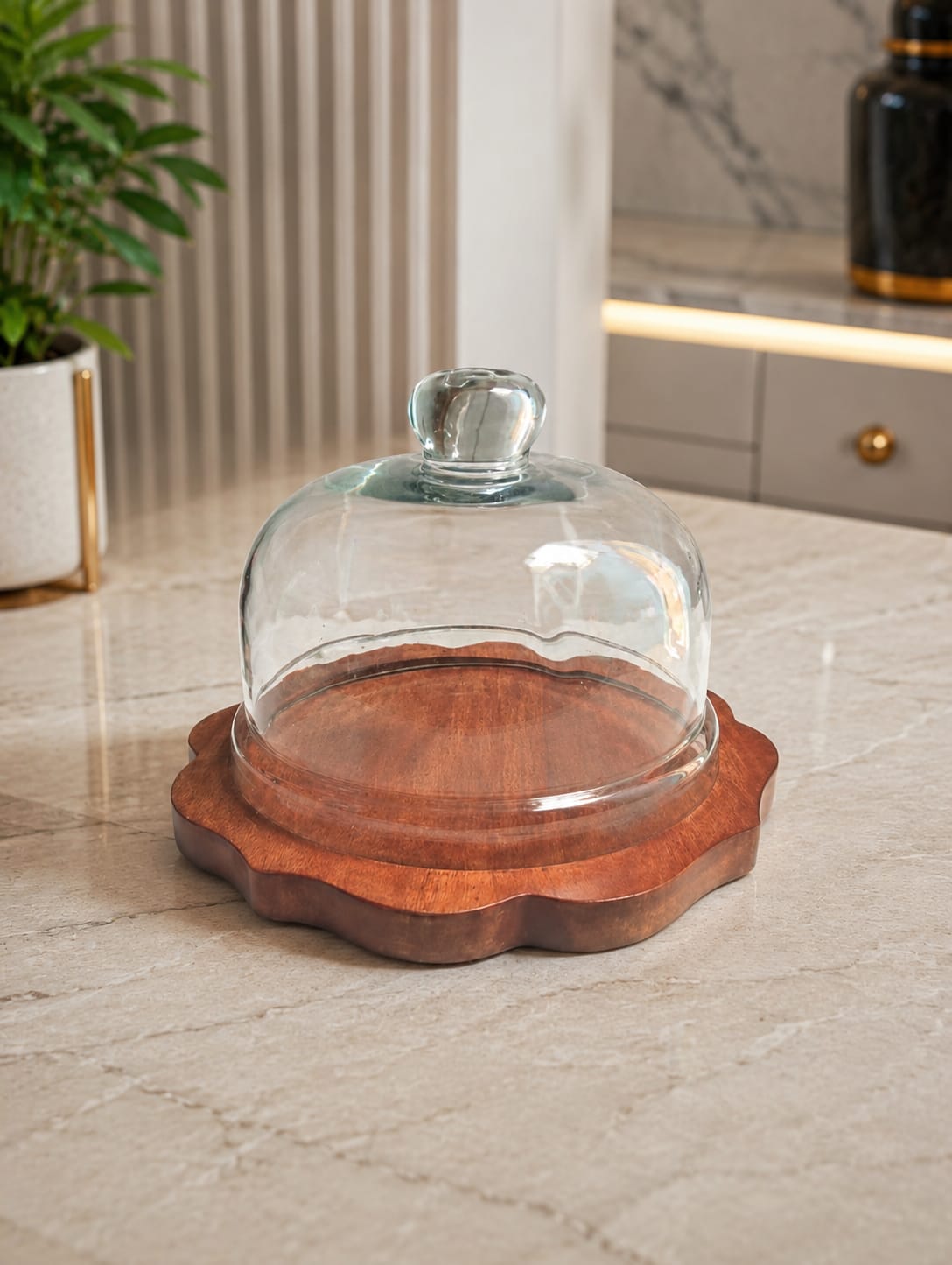 Maverics Glass Cake Stand with Wooden Base and Cloche Dome